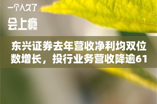 东兴证券去年营收净利均双位数增长，投行业务营收降逾61%