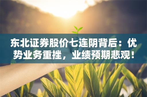 东北证券股价七连阴背后：优势业务重挫，业绩预期悲观！