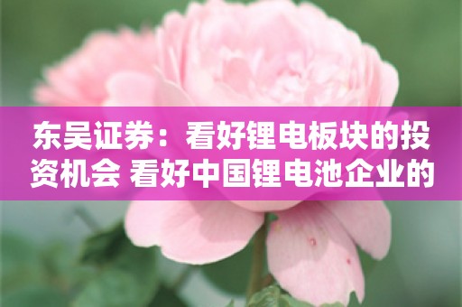 东吴证券：看好锂电板块的投资机会 看好中国锂电池企业的成长