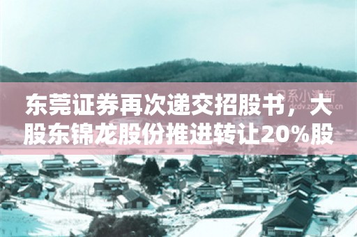 东莞证券再次递交招股书，大股东锦龙股份推进转让20%股份