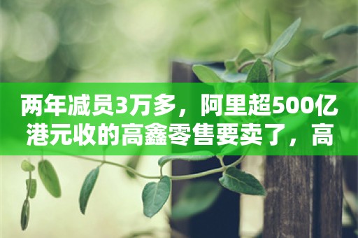 两年减员3万多，阿里超500亿港元收的高鑫零售要卖了，高瓴资本被传是买家