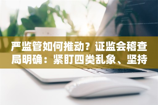 严监管如何推动？证监会稽查局明确：紧盯四类乱象、坚持五大执法方向