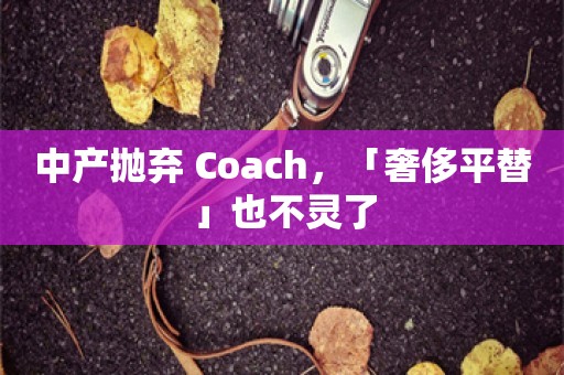 中产抛弃 Coach，「奢侈平替」也不灵了