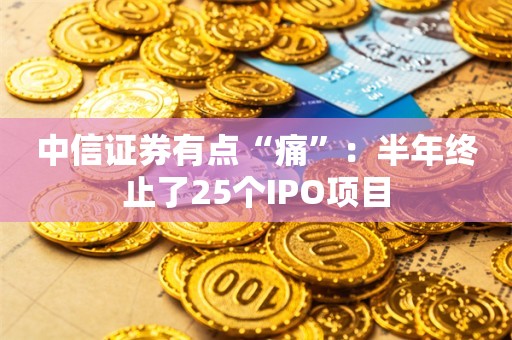 中信证券有点“痛”：半年终止了25个IPO项目