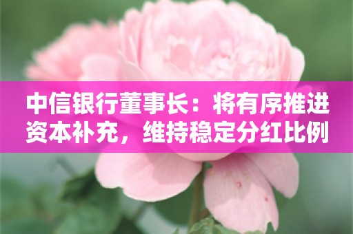 中信银行董事长：将有序推进资本补充，维持稳定分红比例可期