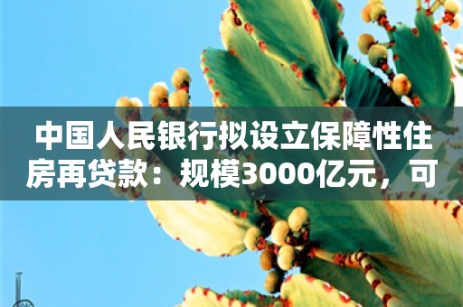 中国人民银行拟设立保障性住房再贷款：规模3000亿元，可展期4次