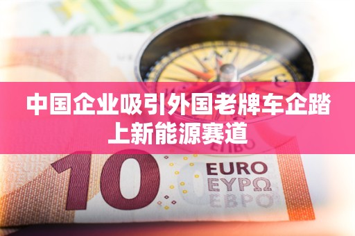 中国企业吸引外国老牌车企踏上新能源赛道