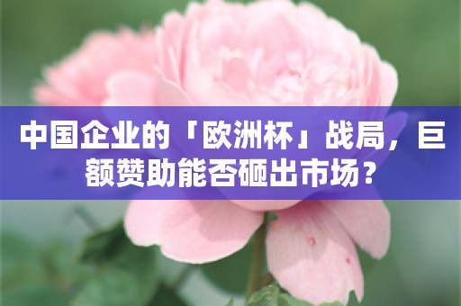 中国企业的「欧洲杯」战局，巨额赞助能否砸出市场？