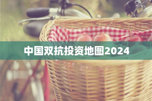 中国双抗投资地图2024