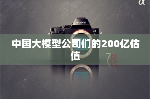 中国大模型公司们的200亿估值