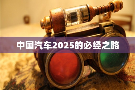 中国汽车2025的必经之路