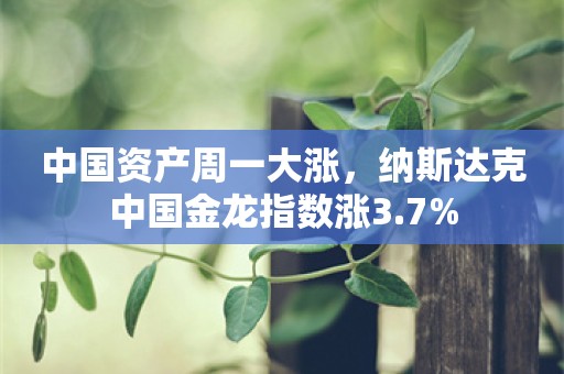中国资产周一大涨，纳斯达克中国金龙指数涨3.7%