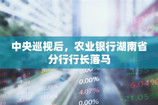 中央巡视后，农业银行湖南省分行行长落马