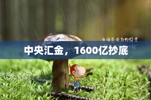 中央汇金，1600亿抄底