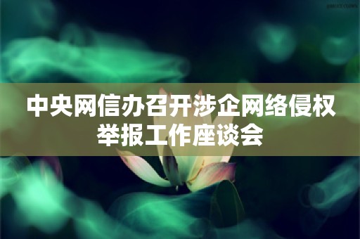 中央网信办召开涉企网络侵权举报工作座谈会