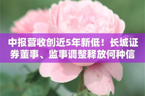 中报营收创近5年新低！长城证券董事、监事调整释放何种信号？