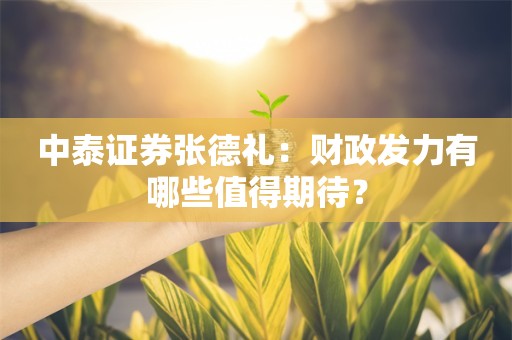 中泰证券张德礼：财政发力有哪些值得期待？