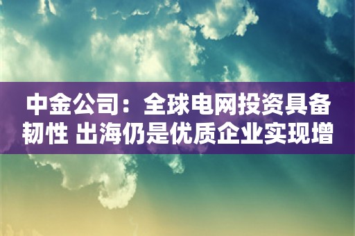 中金公司：全球电网投资具备韧性 出海仍是优质企业实现增长的重要动能