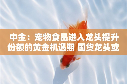 中金：宠物食品进入龙头提升份额的黄金机遇期 国货龙头或将快速放量