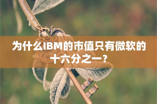 为什么IBM的市值只有微软的十六分之一？