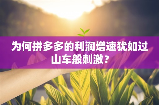 为何拼多多的利润增速犹如过山车般刺激？