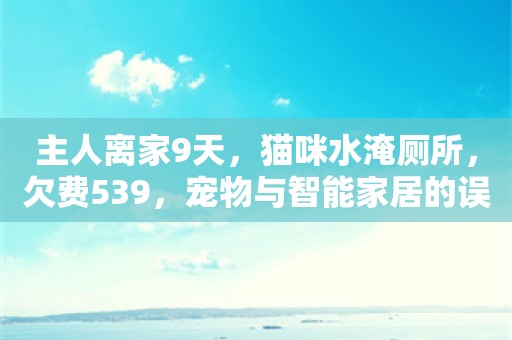 主人离家9天，猫咪水淹厕所，欠费539，宠物与智能家居的误会解决过程