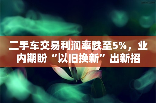 二手车交易利润率跌至5%，业内期盼“以旧换新”出新招