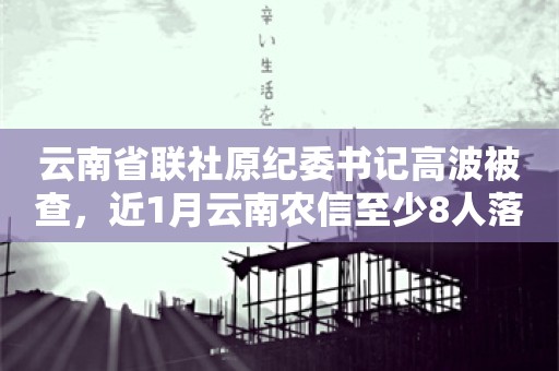 云南省联社原纪委书记高波被查，近1月云南农信至少8人落马