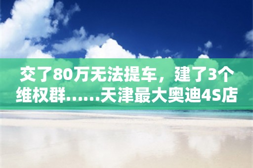 交了80万无法提车，建了3个维权群……天津最大奥迪4S店跑路