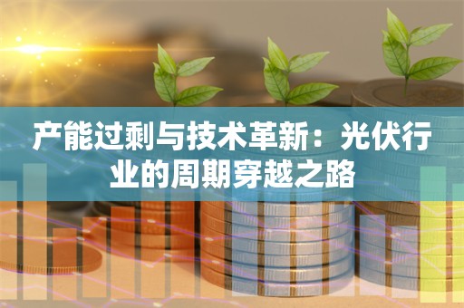 产能过剩与技术革新：光伏行业的周期穿越之路