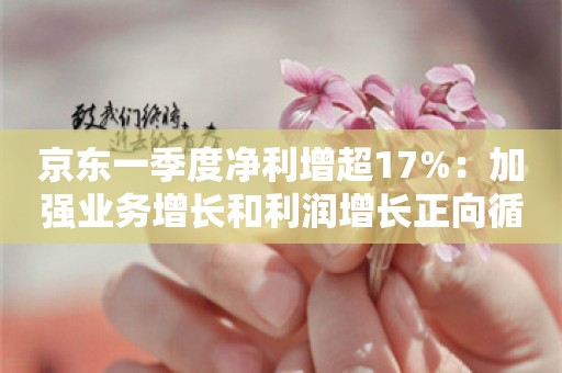 京东一季度净利增超17%：加强业务增长和利润增长正向循环