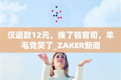 仅退款12元，挨了顿官司，羊毛党哭了_ZAKER新闻