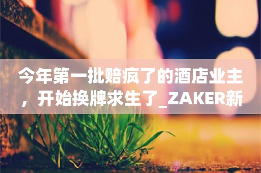 今年第一批赔疯了的酒店业主，开始换牌求生了_ZAKER新闻