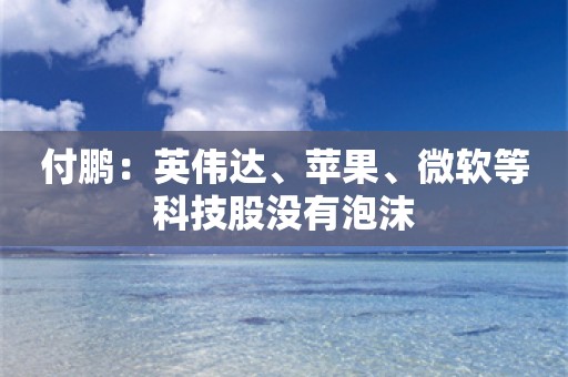 付鹏：英伟达、苹果、微软等科技股没有泡沫