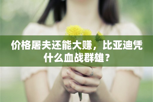 价格屠夫还能大赚，比亚迪凭什么血战群雄？