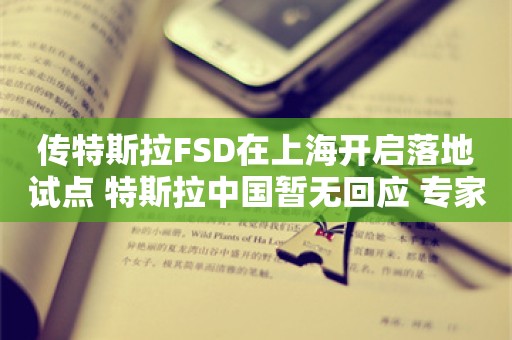 传特斯拉FSD在上海开启落地试点 特斯拉中国暂无回应 专家：中国智能驾驶已到突破时刻