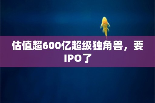 估值超600亿超级独角兽，要IPO了