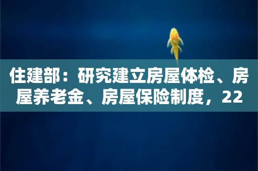 住建部：研究建立房屋体检、房屋养老金、房屋保险制度，22市正开展试点