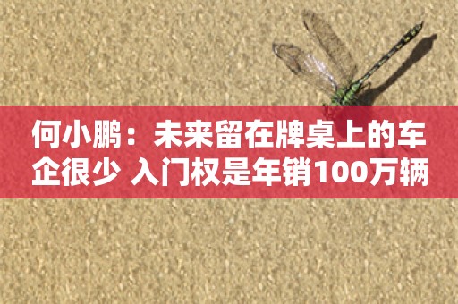 何小鹏：未来留在牌桌上的车企很少 入门权是年销100万辆车