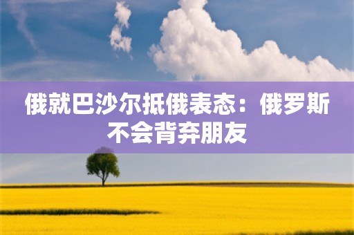 俄就巴沙尔抵俄表态：俄罗斯不会背弃朋友