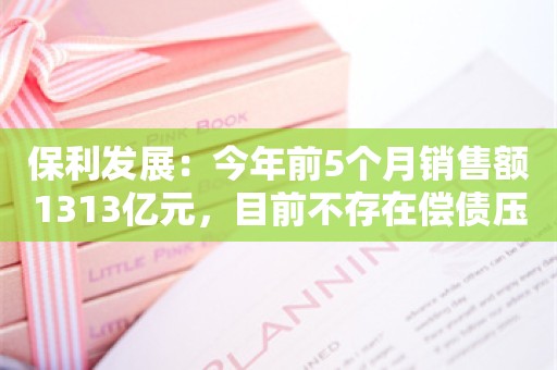 保利发展：今年前5个月销售额1313亿元，目前不存在偿债压力