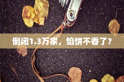 倒闭1.3万家，馅饼不香了？