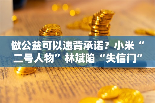 做公益可以违背承诺？小米“二号人物”林斌陷“失信门”