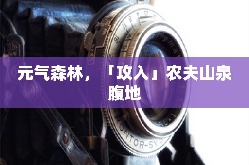 元气森林，「攻入」农夫山泉腹地