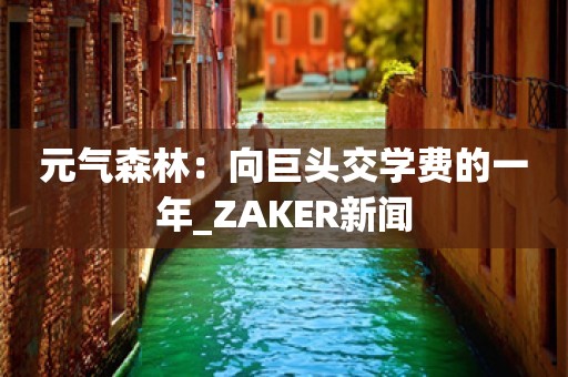 元气森林：向巨头交学费的一年_ZAKER新闻