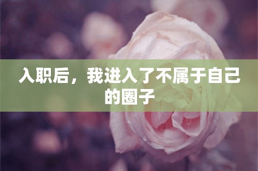 入职后，我进入了不属于自己的圈子