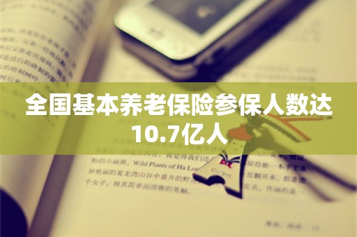 全国基本养老保险参保人数达10.7亿人