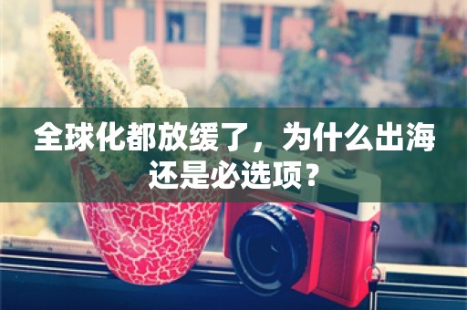 全球化都放缓了，为什么出海还是必选项？