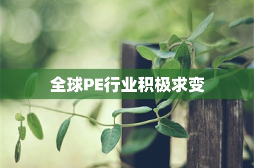 全球PE行业积极求变