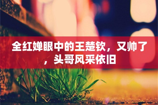 全红婵眼中的王楚钦，又帅了，头哥风采依旧